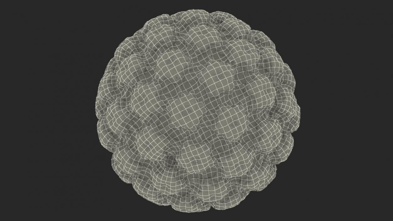 Human Viruses Collection 3D model