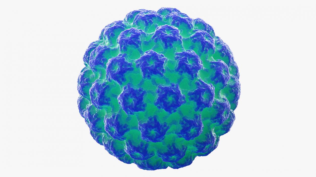 Human Viruses Collection 3D model