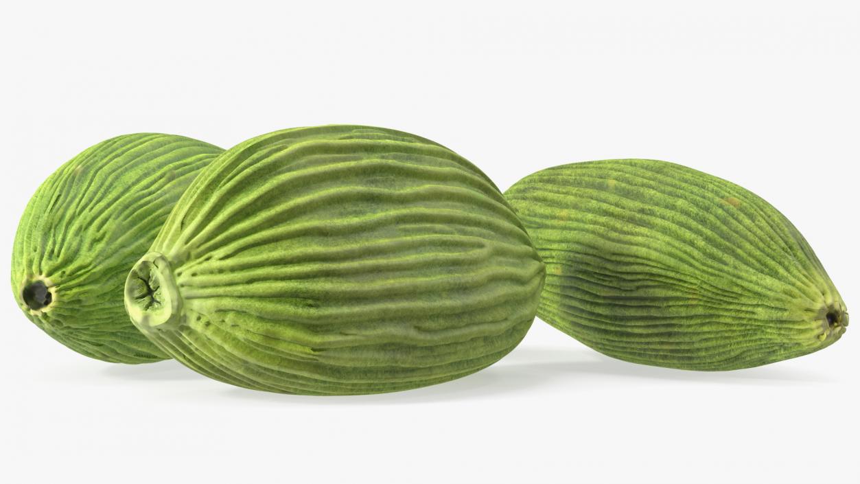 3D Dried Green Cardamom Fruit