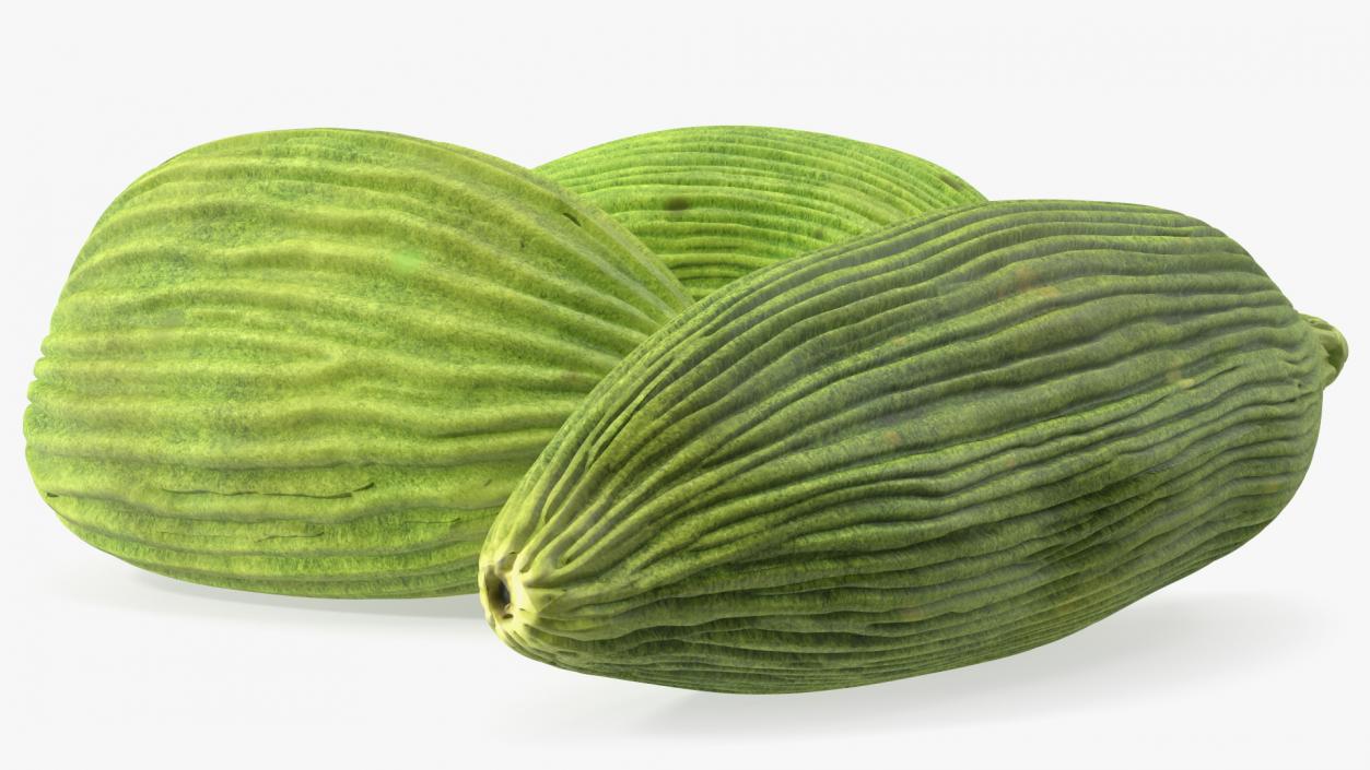 3D Dried Green Cardamom Fruit