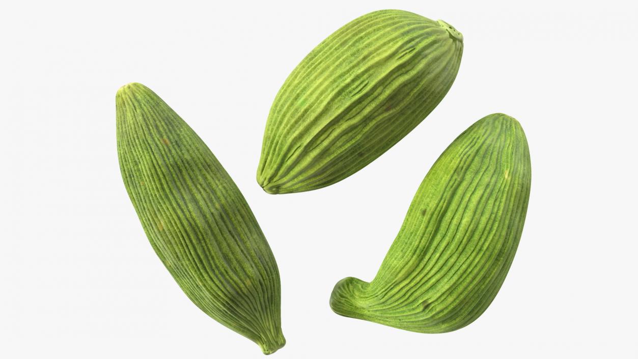 3D Dried Green Cardamom Fruit