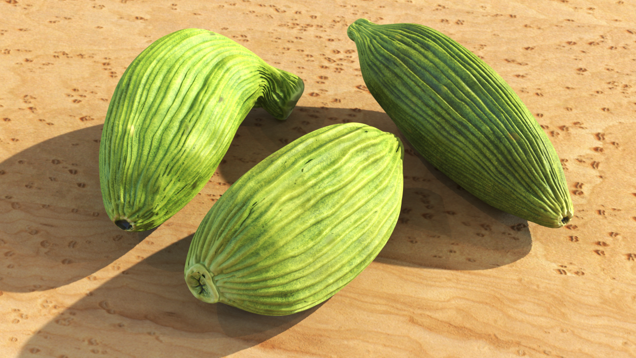 3D Dried Green Cardamom Fruit