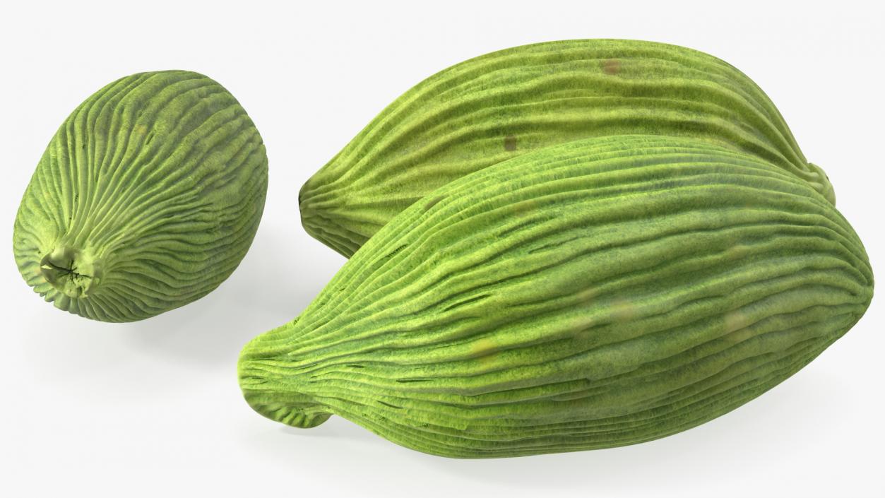 3D Dried Green Cardamom Fruit