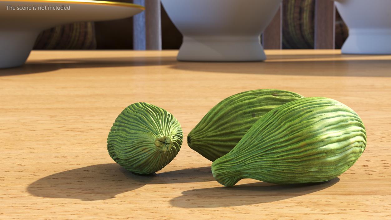 3D Dried Green Cardamom Fruit