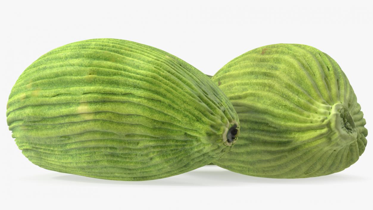 3D Dried Green Cardamom Fruit