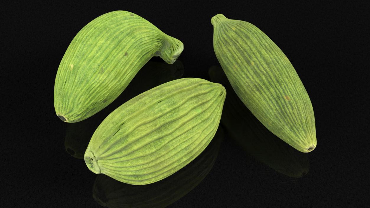 3D Dried Green Cardamom Fruit