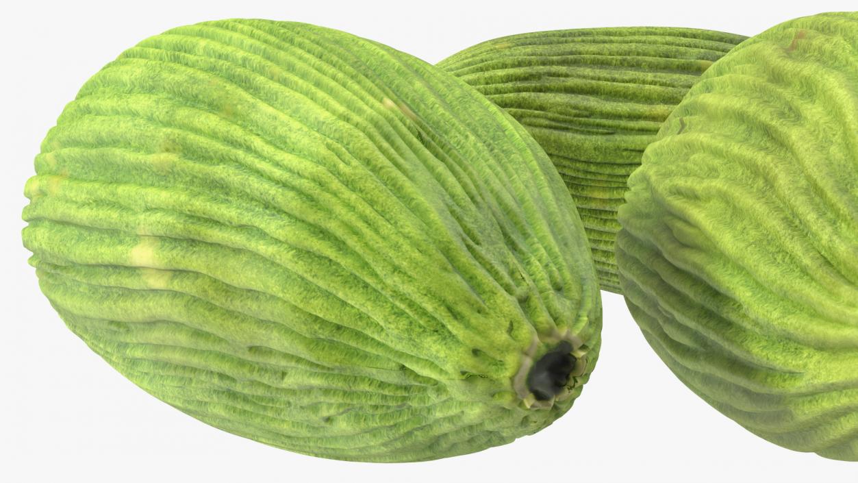 3D Dried Green Cardamom Fruit