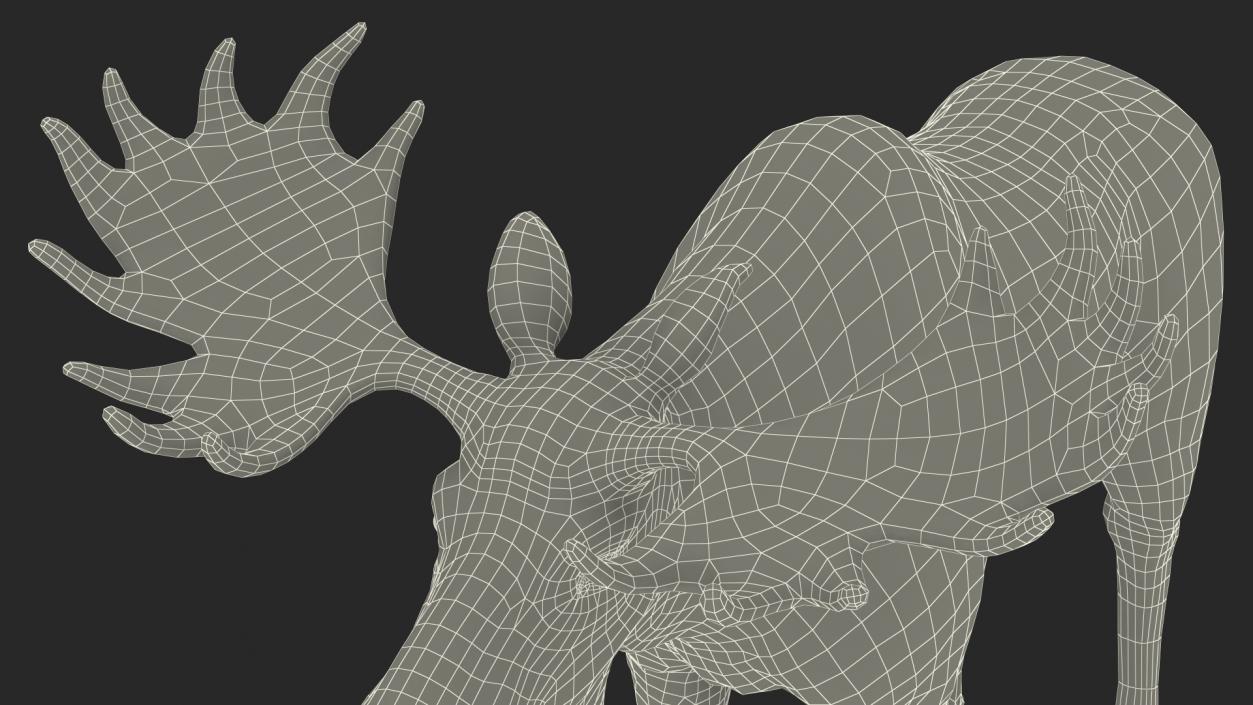 3D Moose Fur Rigged