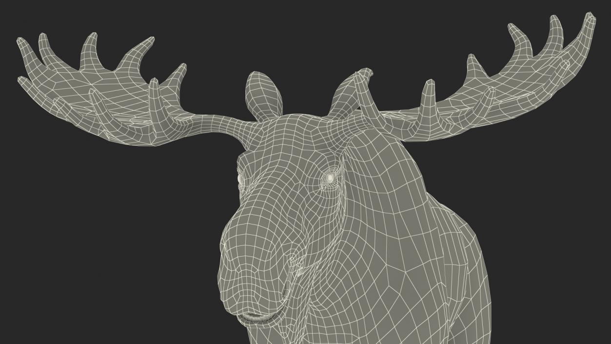 3D Moose Fur Rigged