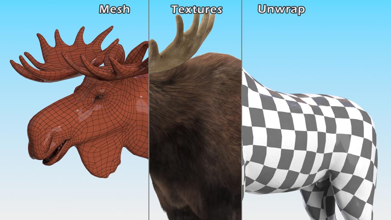 3D Moose Fur Rigged