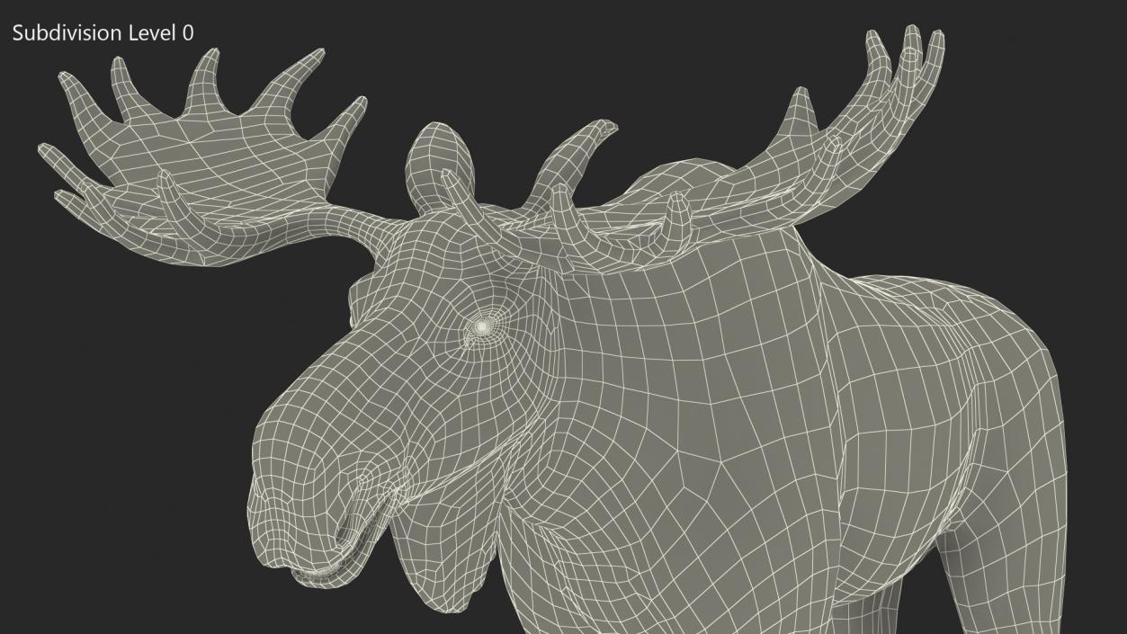 3D Moose Fur Rigged