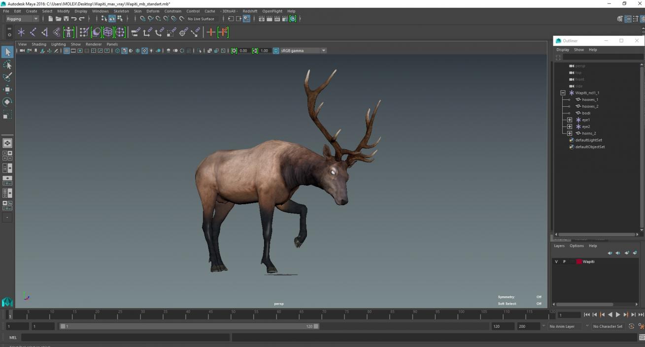 3D model Wapiti