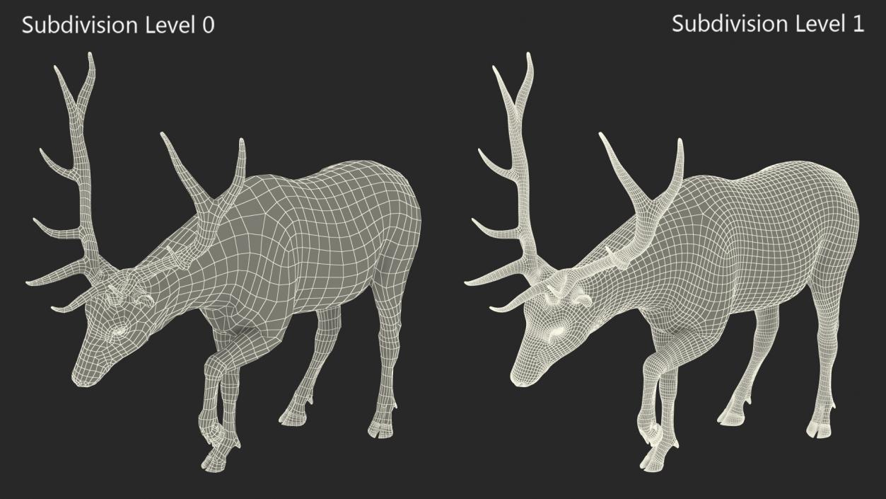 3D model Wapiti