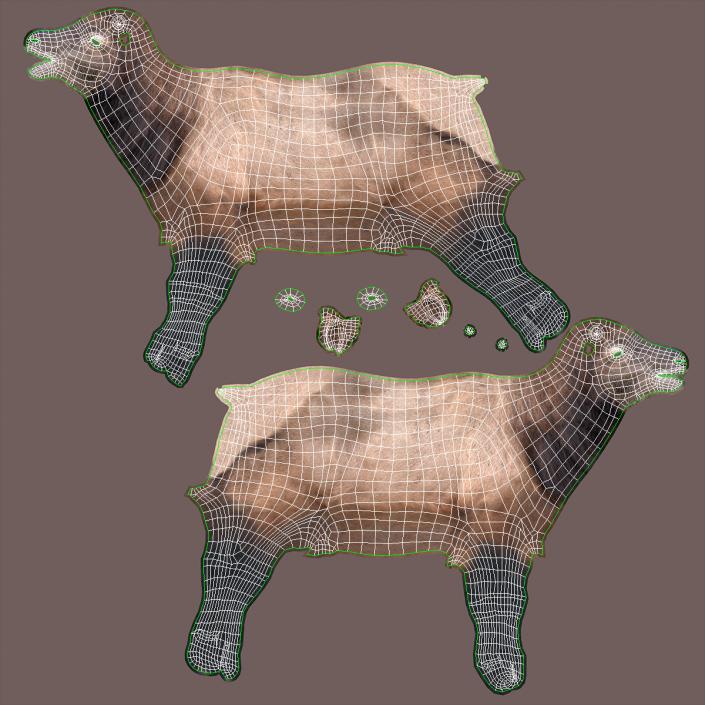 3D model Wapiti