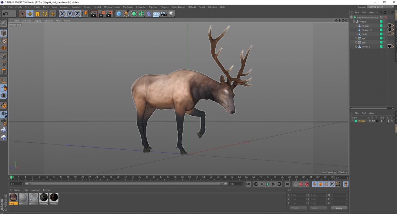 3D model Wapiti