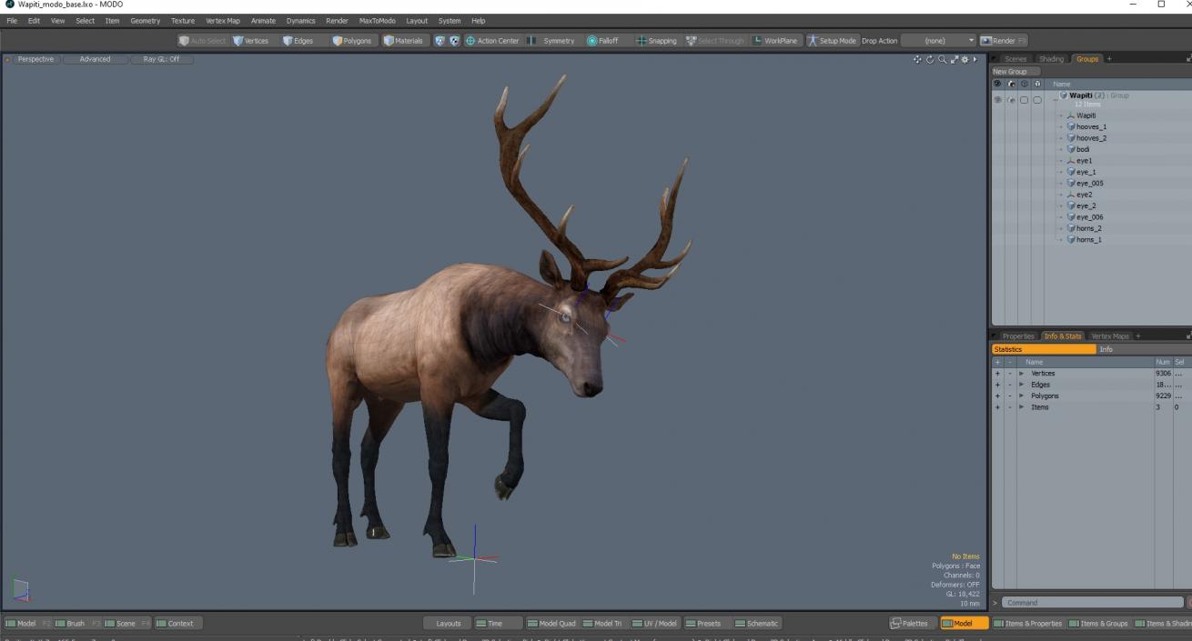 3D model Wapiti