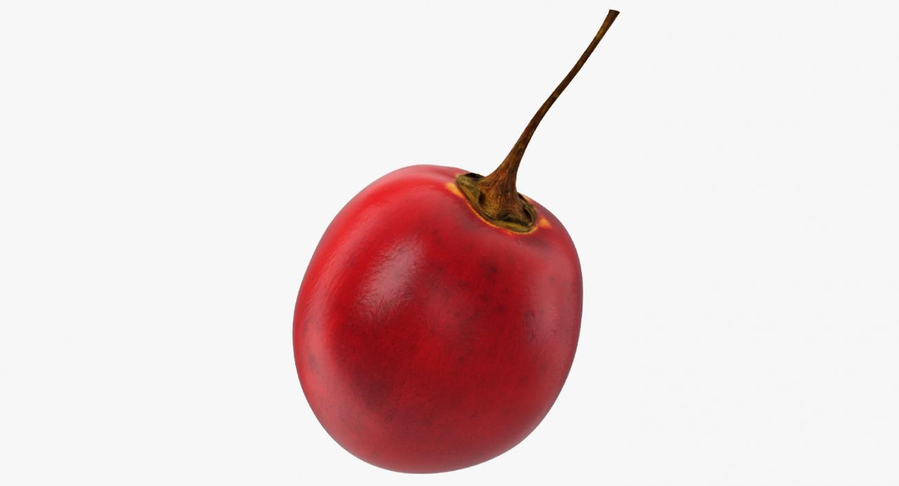 3D Tamarillo Special Fruit model