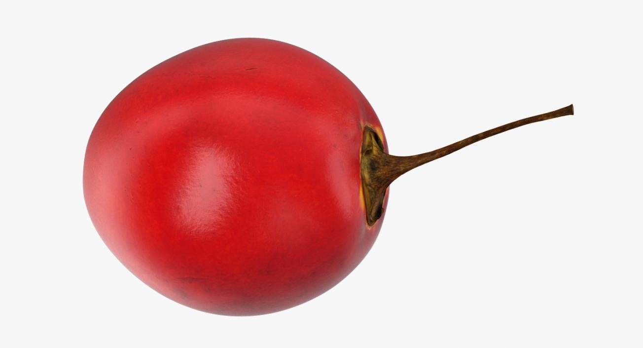 3D Tamarillo Special Fruit model