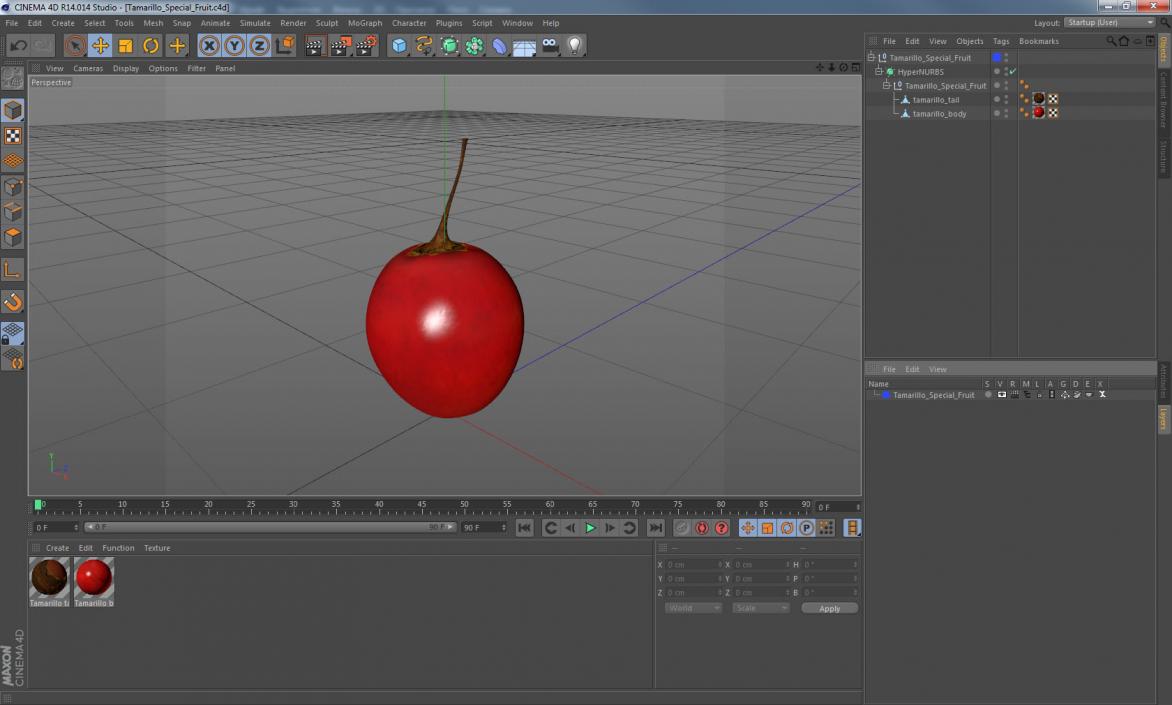 3D Tamarillo Special Fruit model