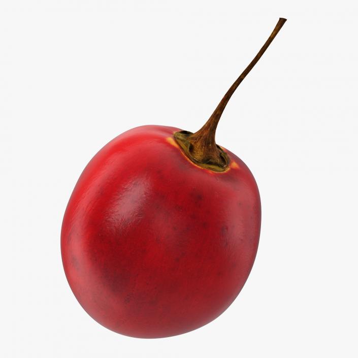 3D Tamarillo Special Fruit model