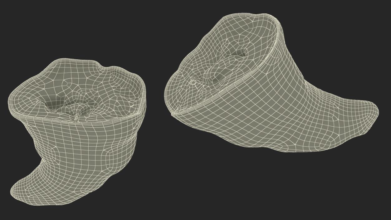 3D Croissant Halves 2 model