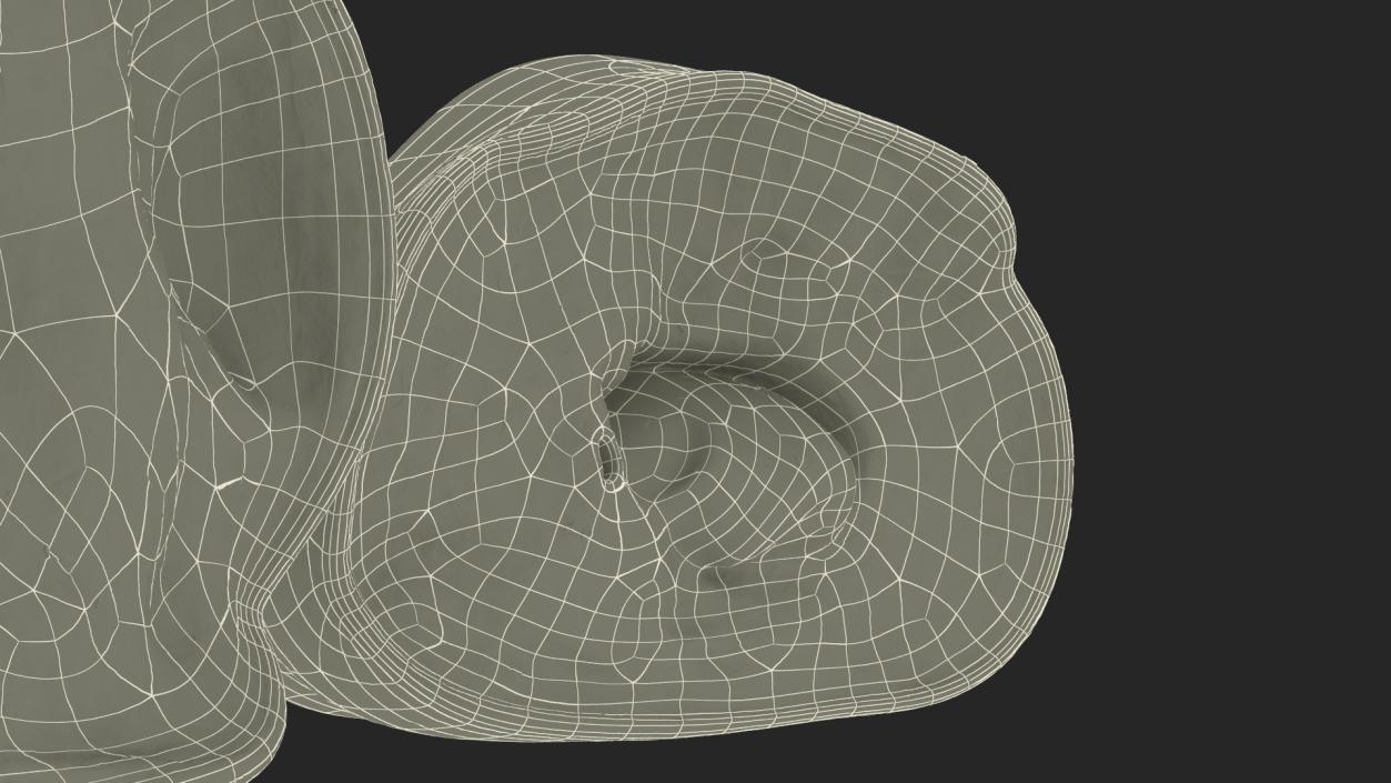 3D Croissant Halves 2 model