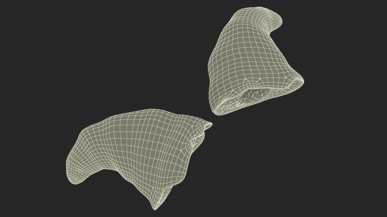 3D Croissant Halves 2 model