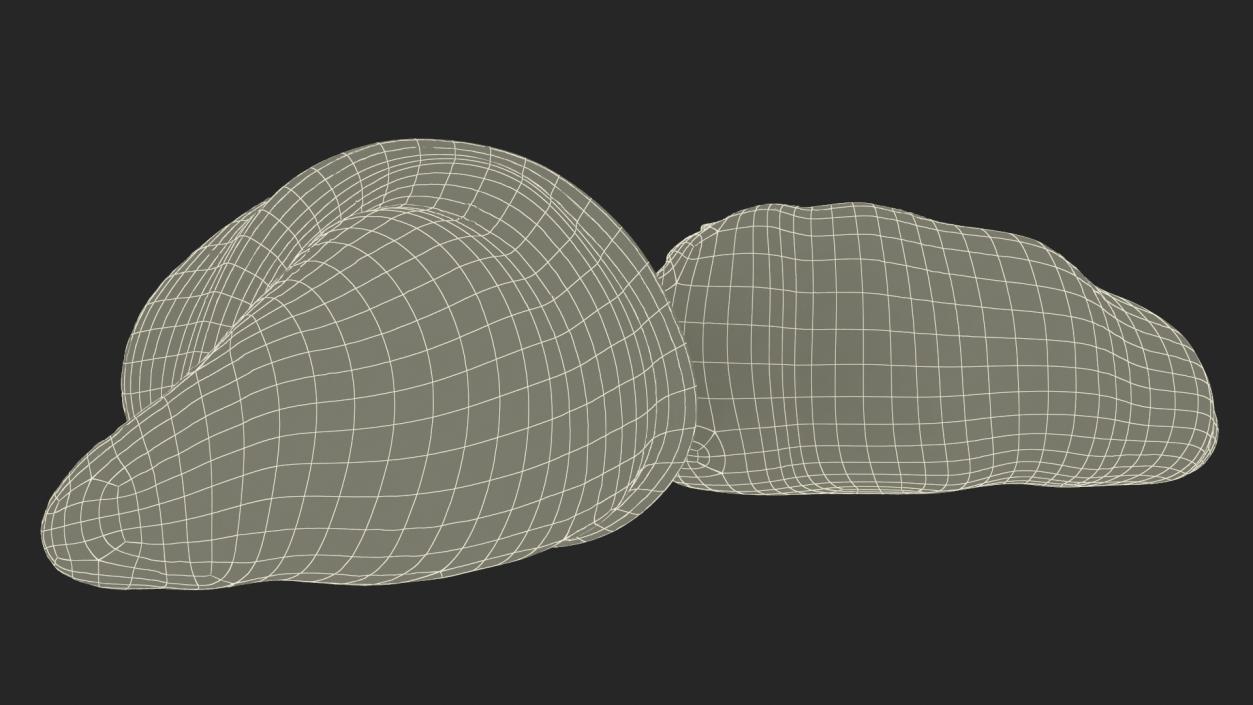 3D Croissant Halves 2 model