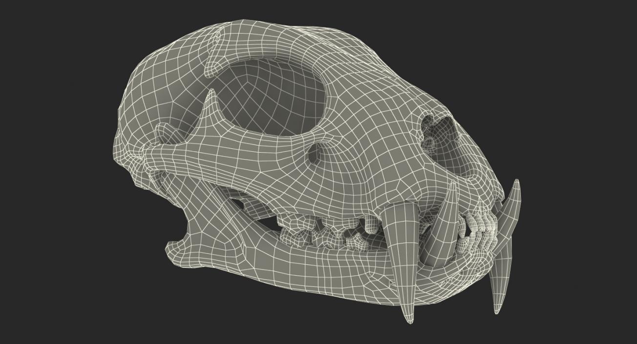 Skulls Collection 4 3D model