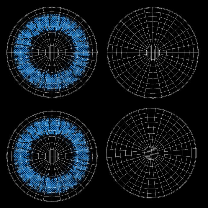 3D Coloured Contact Lenses Blue model