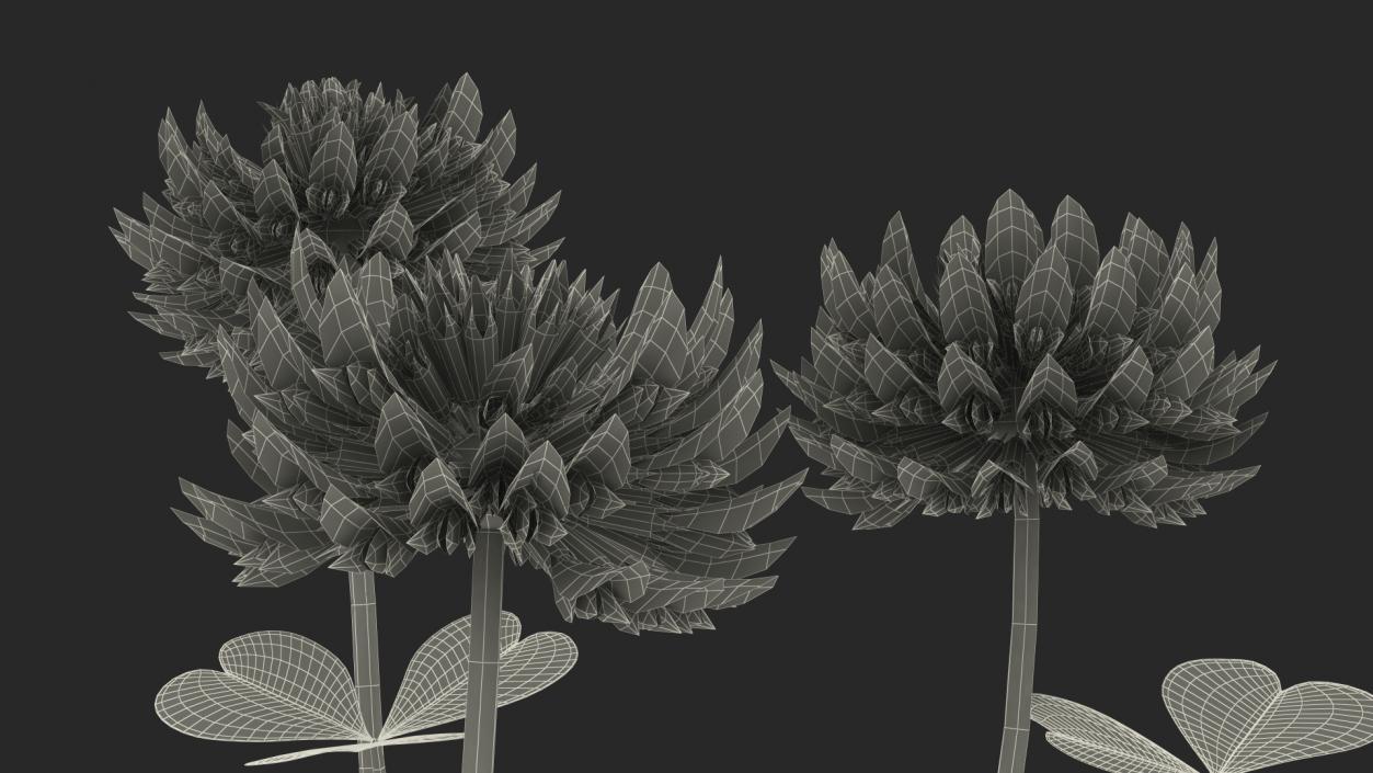 3D model Blooming Red Clover Field