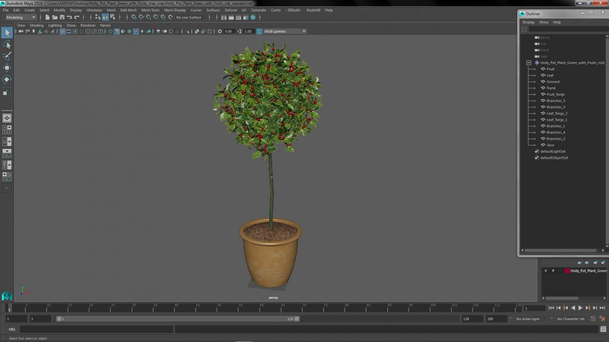 3D Holly Pot Plant Green with Fruits model