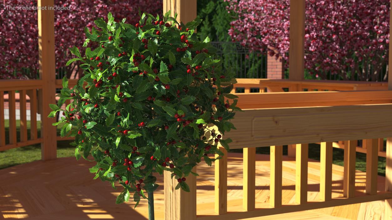 3D Holly Pot Plant Green with Fruits model