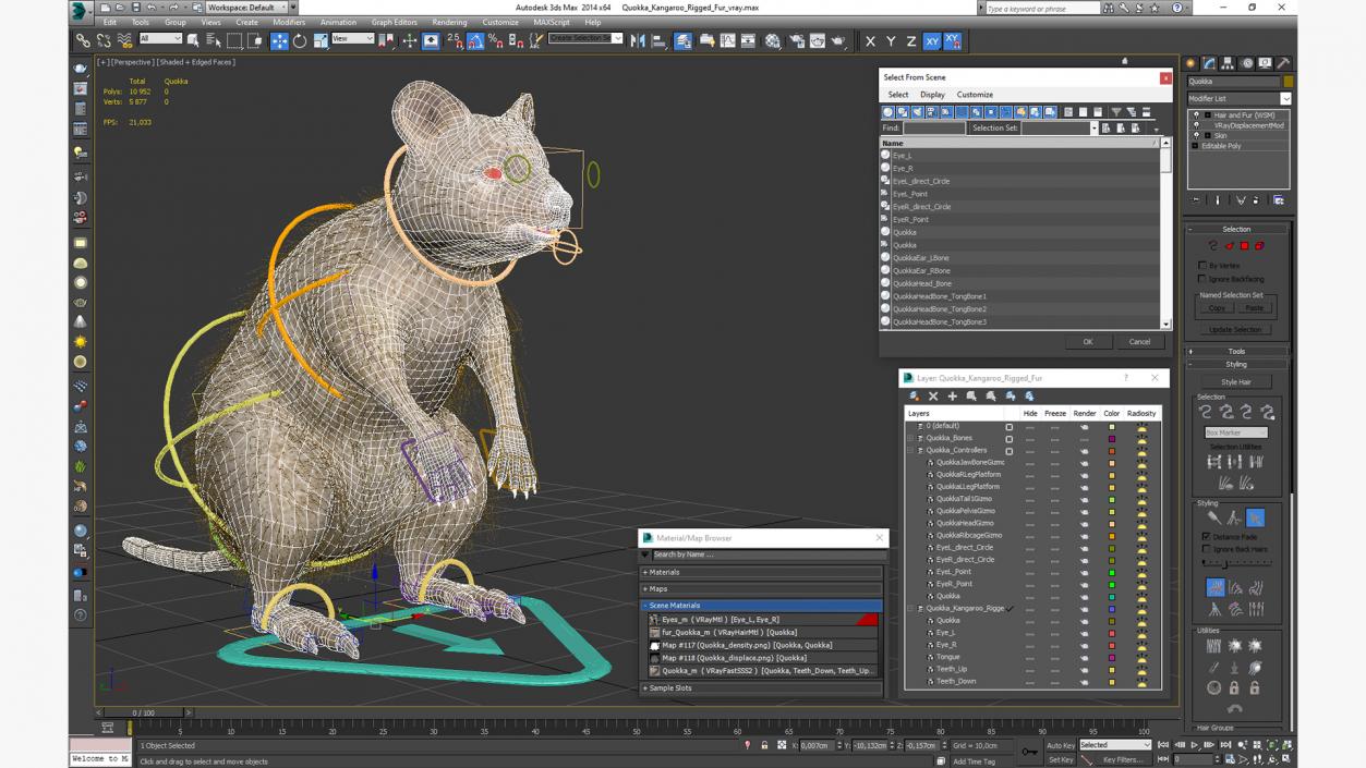 3D Quokka Kangaroo Rigged Fur