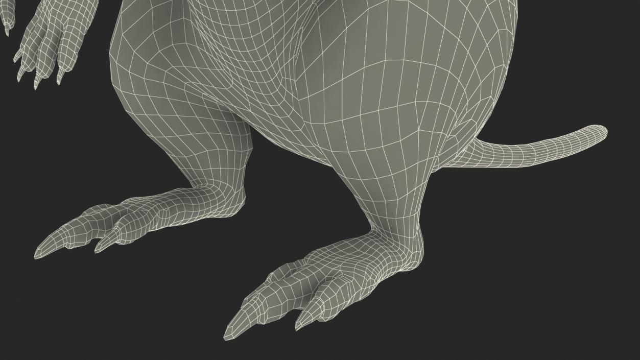 3D Quokka Kangaroo Rigged Fur