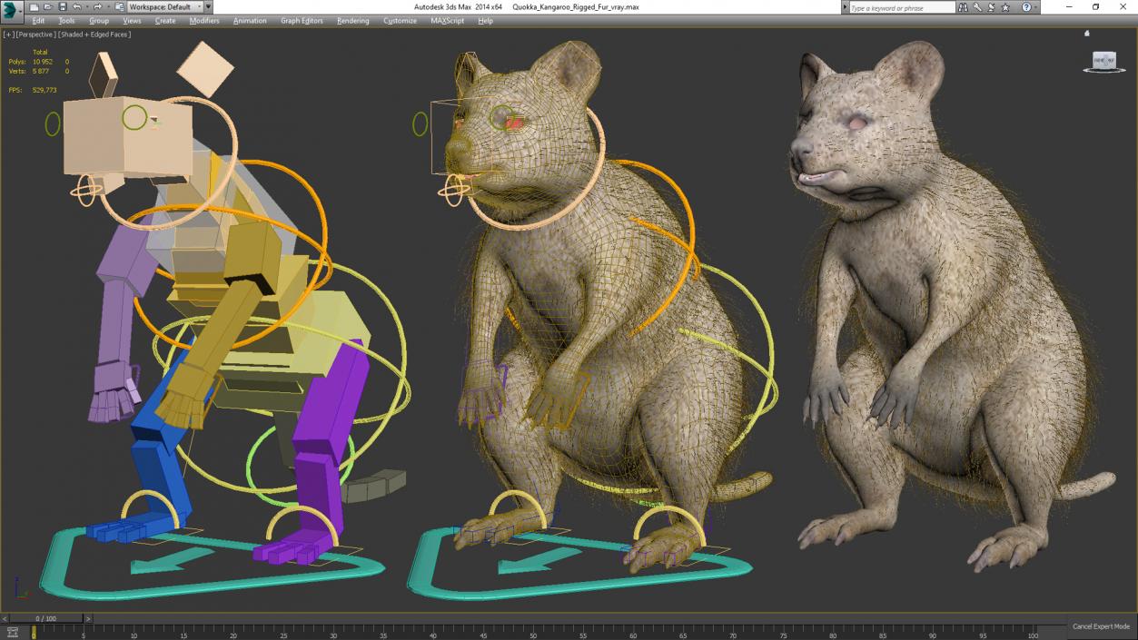 3D Quokka Kangaroo Rigged Fur