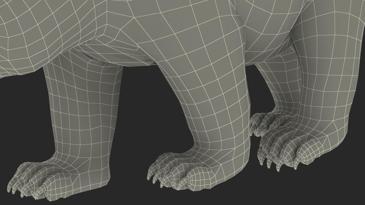 Giant Panda Walking Pose 3D model