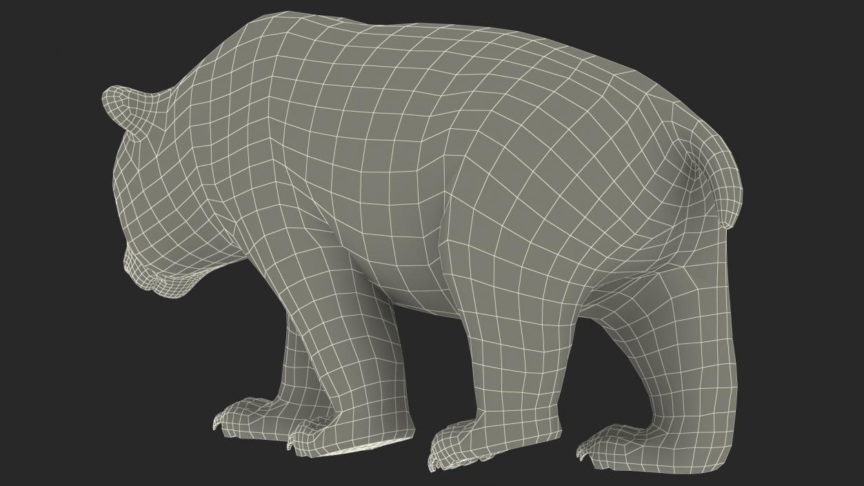 Giant Panda Walking Pose 3D model