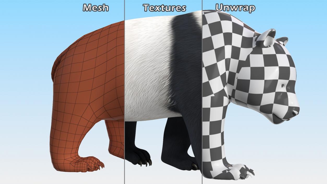 Giant Panda Walking Pose 3D model