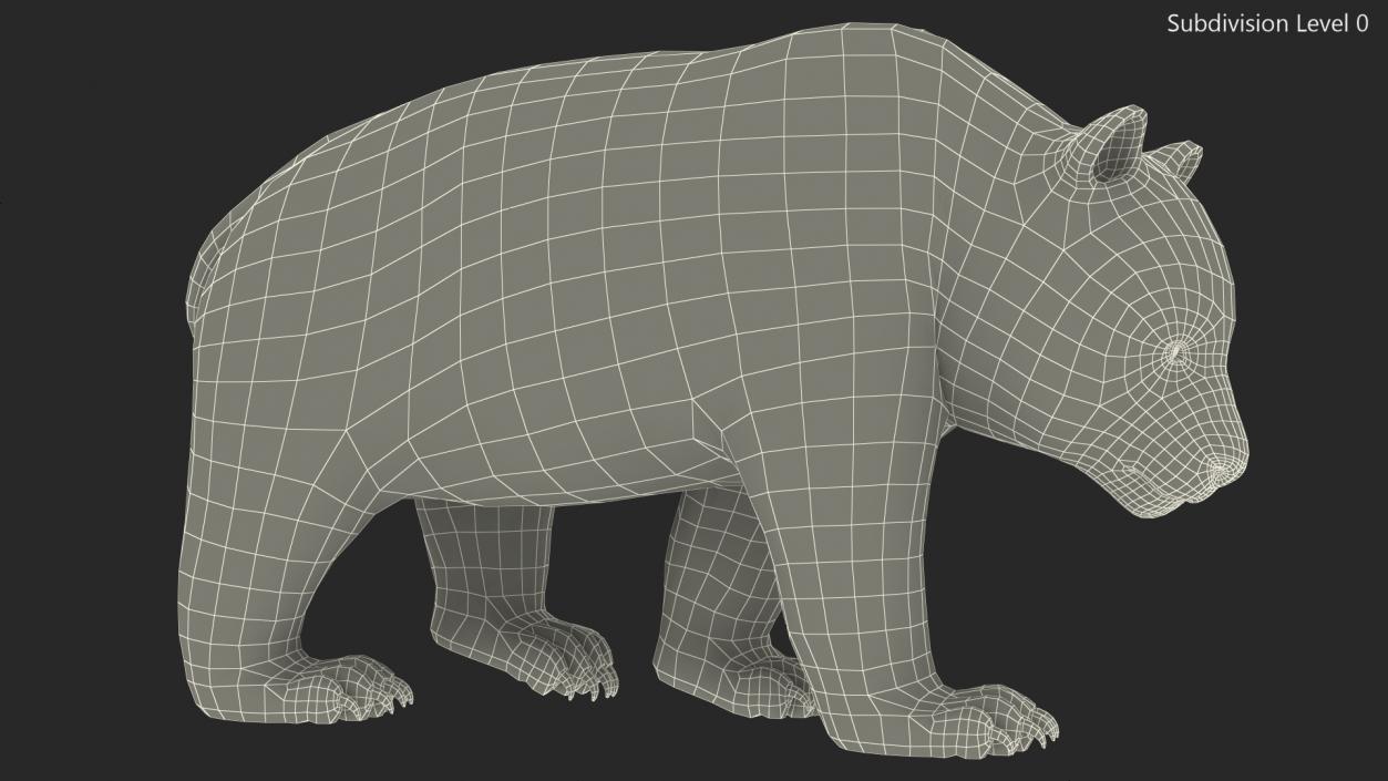 Giant Panda Walking Pose 3D model