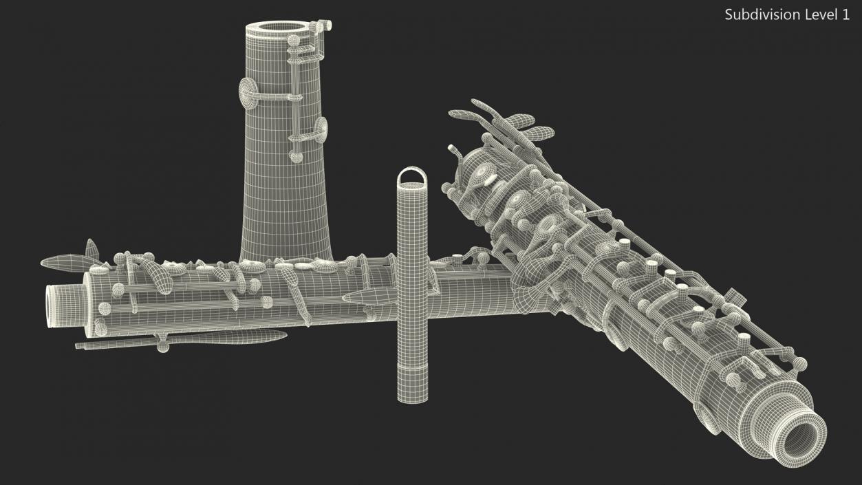 Woodwind Instrument Oboe Disassembled 3D