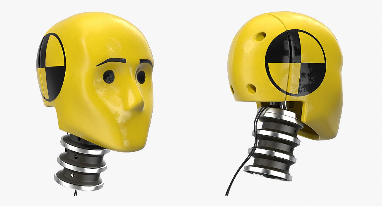 3D Crash Test Dummy Head