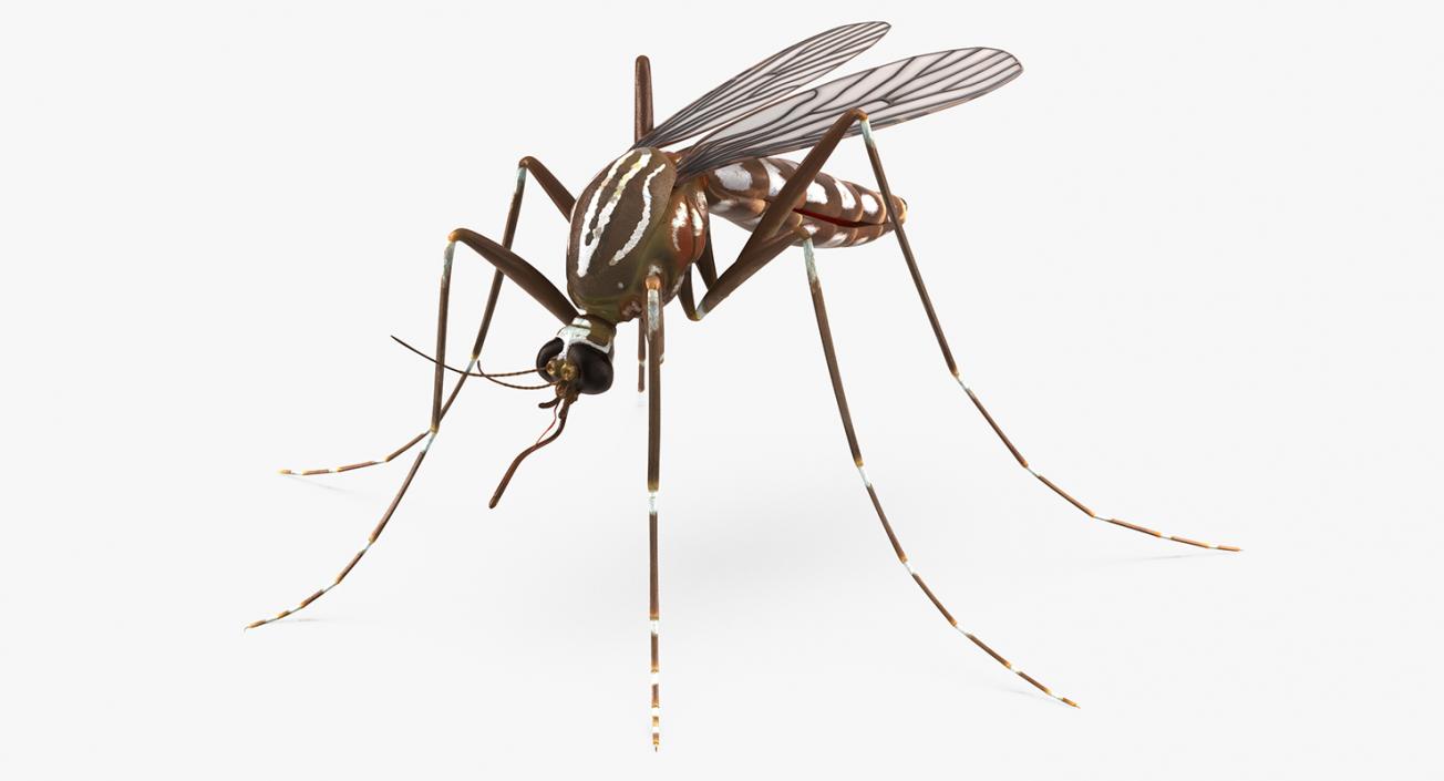 3D model Repellent Bottle and Mosquito Collection