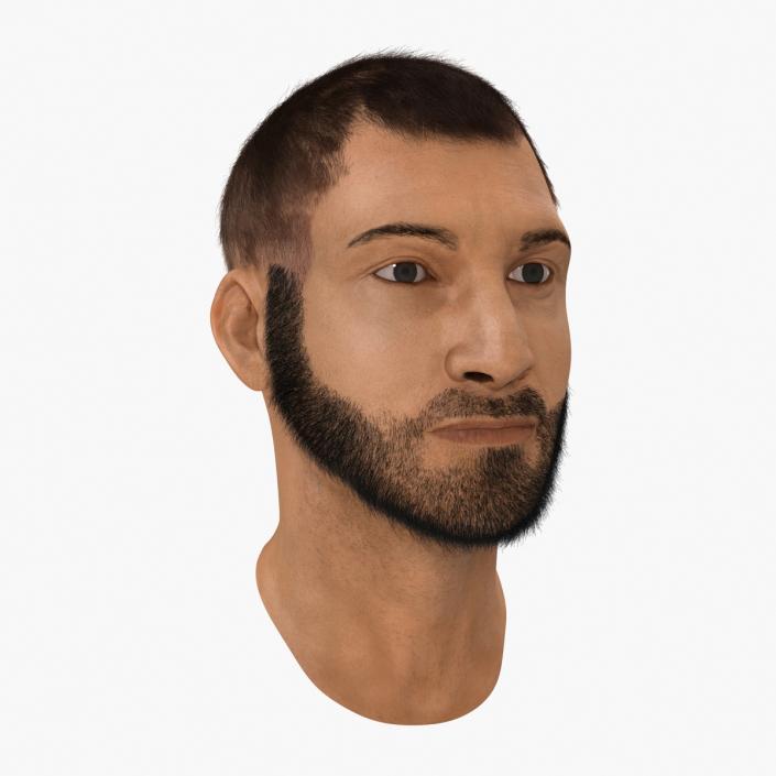 3D model Male Head 7 with Fur