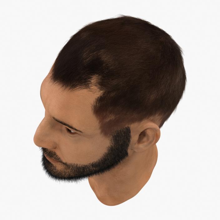 3D model Male Head 7 with Fur