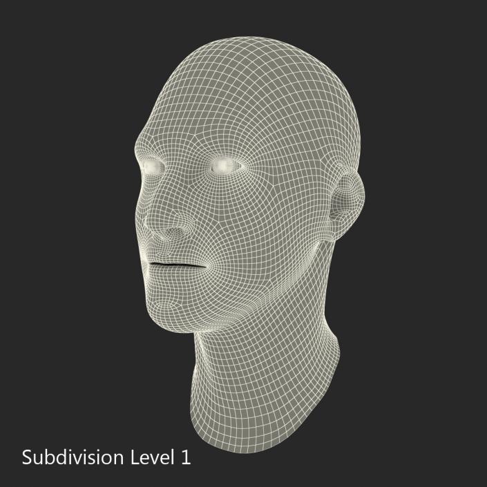 3D model Male Head 7 with Fur