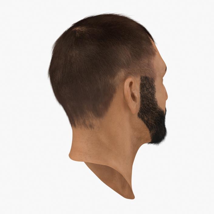 3D model Male Head 7 with Fur