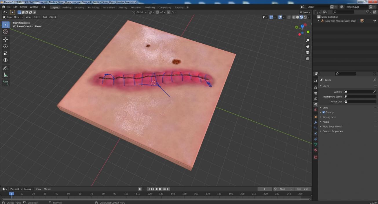 Skin with Medical Seam Open 3D