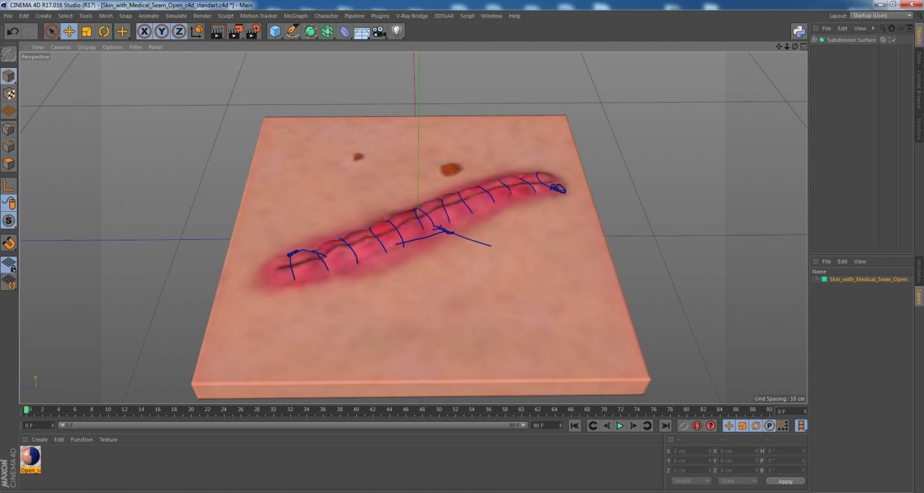 Skin with Medical Seam Open 3D