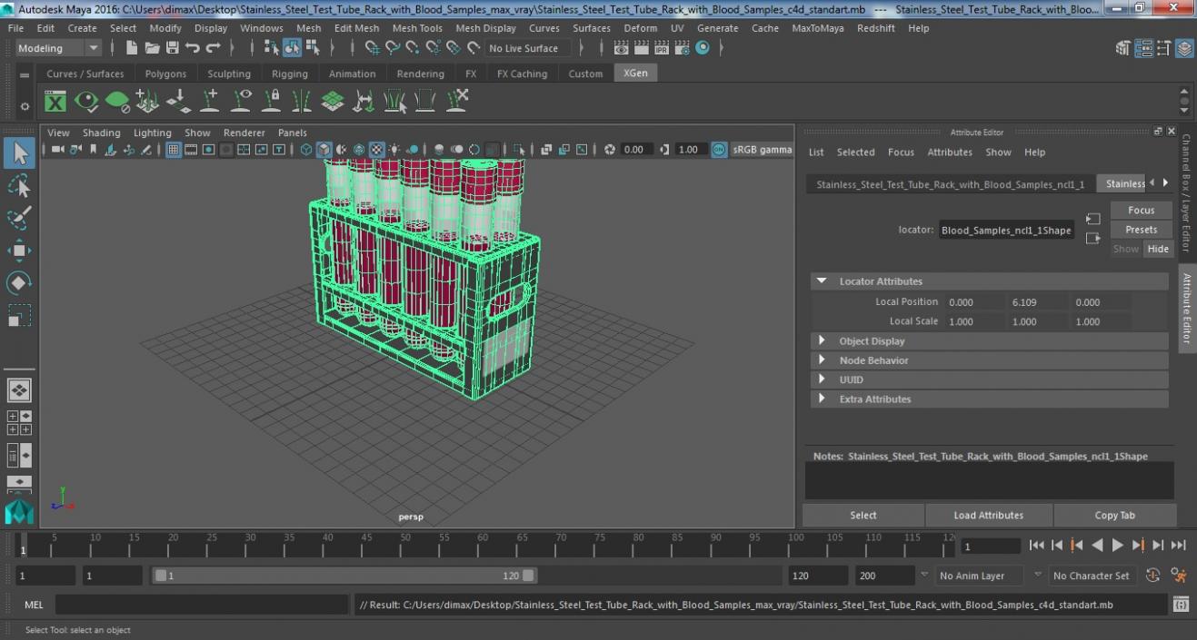 Stainless Steel Test Tube Rack with Blood Samples 3D model